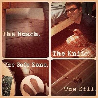 The process of finding and killing a cockroach.