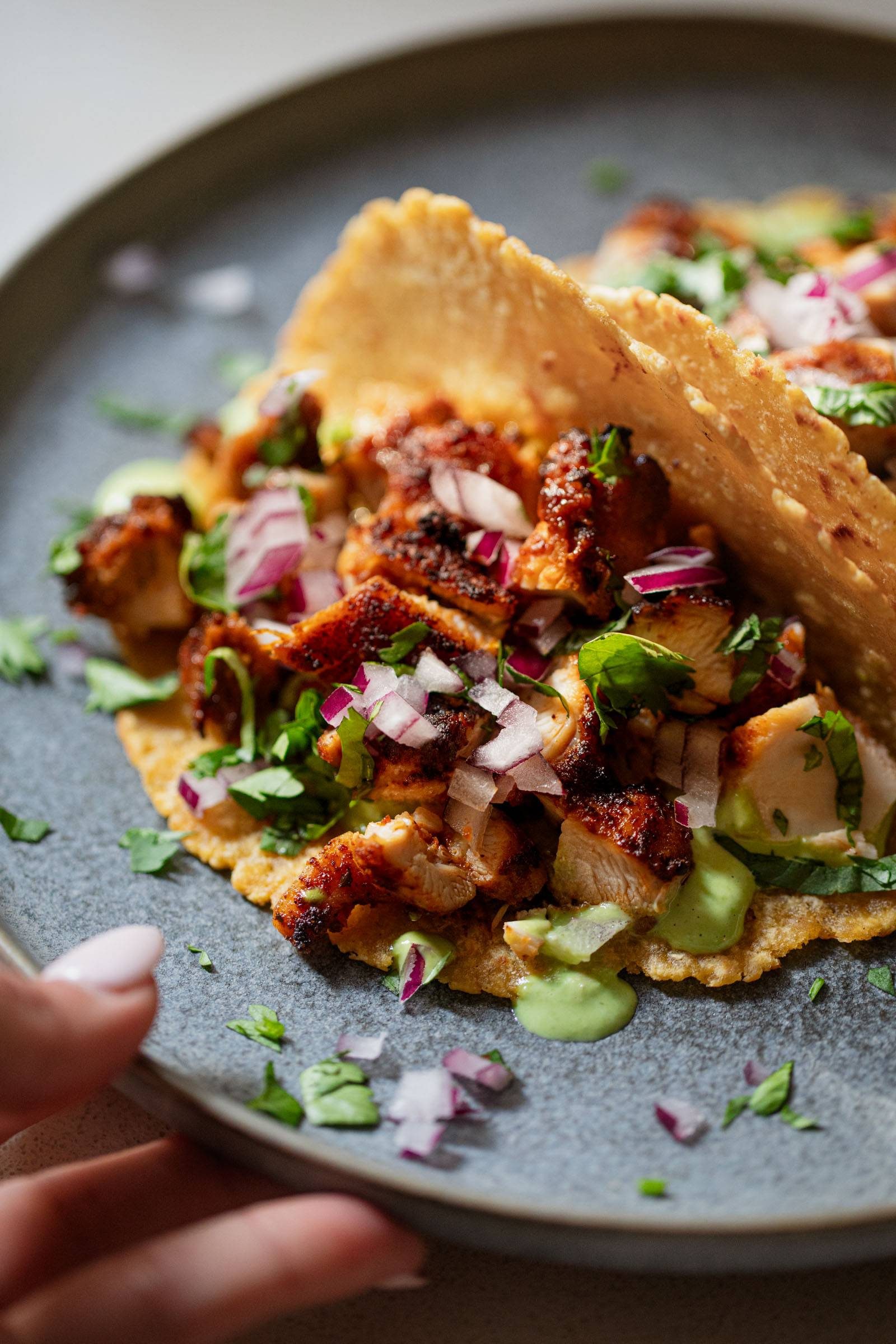 Chicken tacos on a plate.