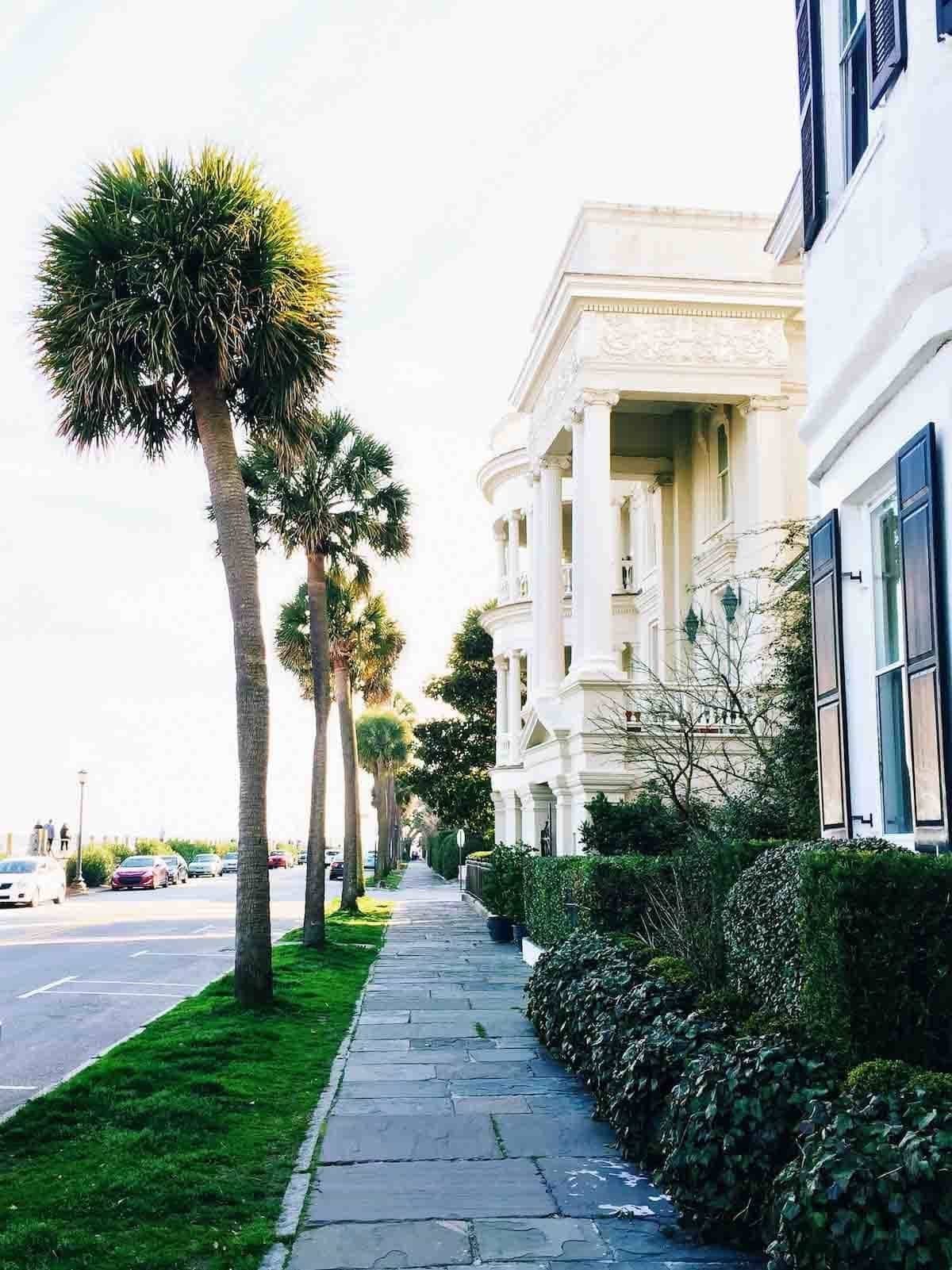 Sidewalk with trees and buildings on either side.